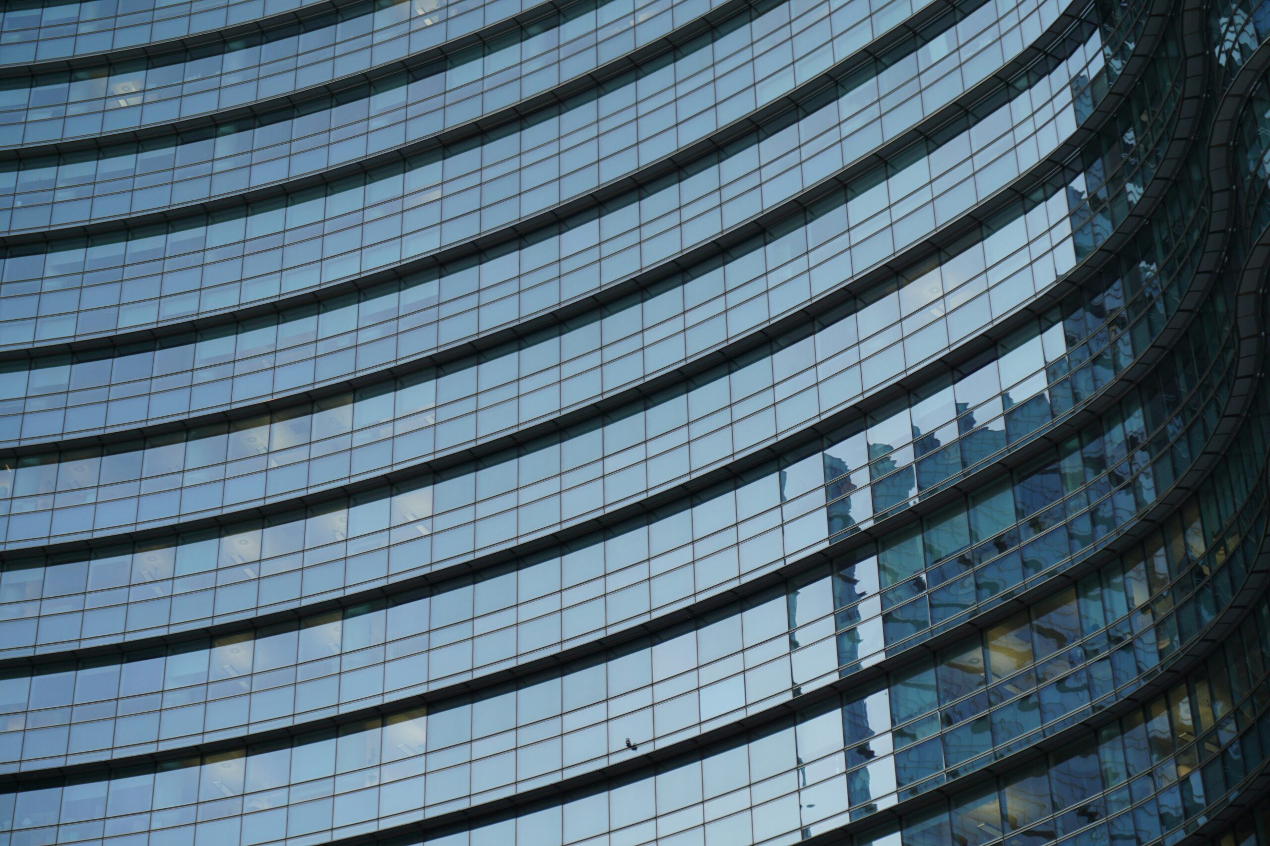 PayPal board views $53 billion Stripe and Advent bid as inadequate